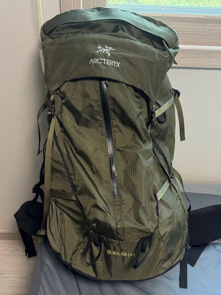ARC'TERYX アークテリクス パープル AR 65 バックパック タツ