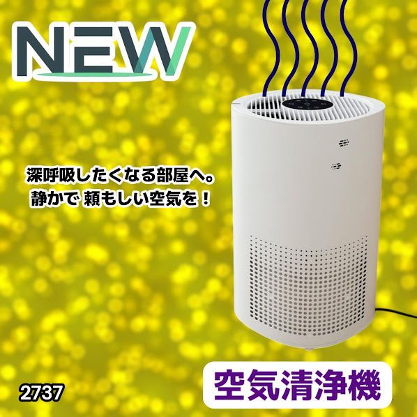 #2737 小型 空気 清浄機 ミニ 18畳対応 4層フィルター 除菌率99% 軽量設計 タイマー機能 省エネ ペット臭 花粉症 黄砂 消臭 花粉 対策 脱臭 たばこ 除菌 タバコ ※一部地域離島別途配送料有 8,816円