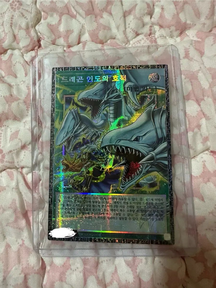 Dragon India IN 版 GON 出品