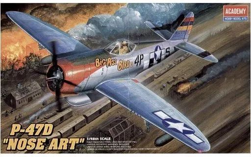 [Used] plastic model 1/48 P-47D “NOSE ART” [2211]