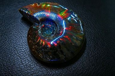【新品】 天然石（原石） 数万個の中の一個★天然マダガスカル産 ★ 両面オパールアンモナイト 化石標本超巨大43ｇ★60ｍｍ 26101272 17,640円
