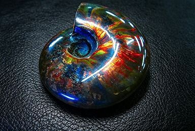 【新品】 天然石（原石） 数万個の中の一個★天然マダガスカル産 ★ 両面オパールアンモナイト 化石標本超巨大85ｇ★75ｍｍ 26101274