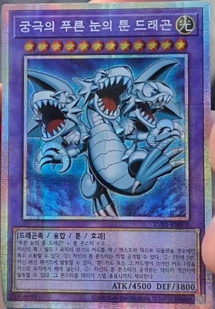 究極のプーさんブルーアイズ・トゥーン・ドラゴン フシク