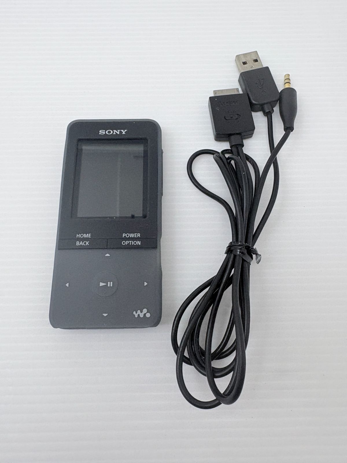 【動作品】SONY ウォークマン NW-S313 本体 ＆ 専用ケース★充電可能 ダイレクト録音対応 ケーブル 付き