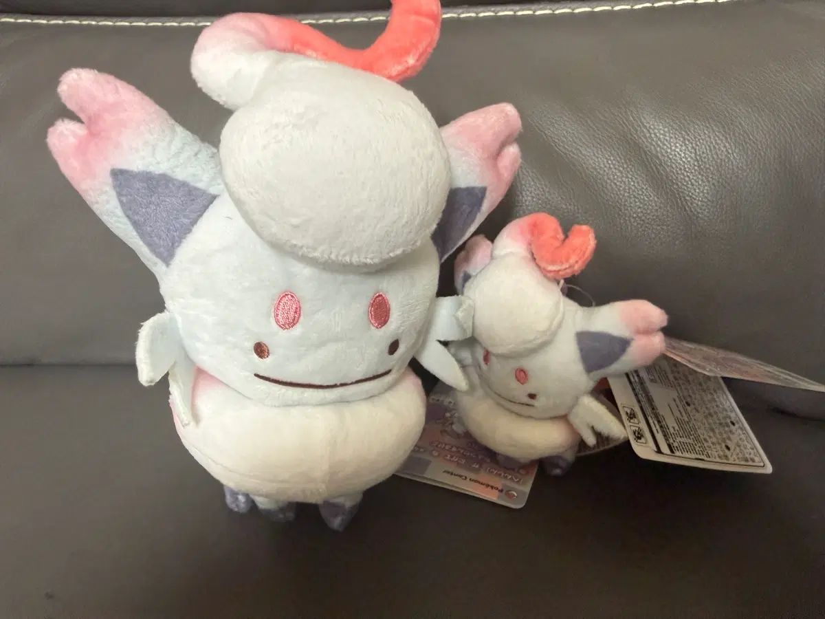 잠실 팝업 : 변신 메타몽 히스이 조로아 ぬいぐるみ + キーホルダー