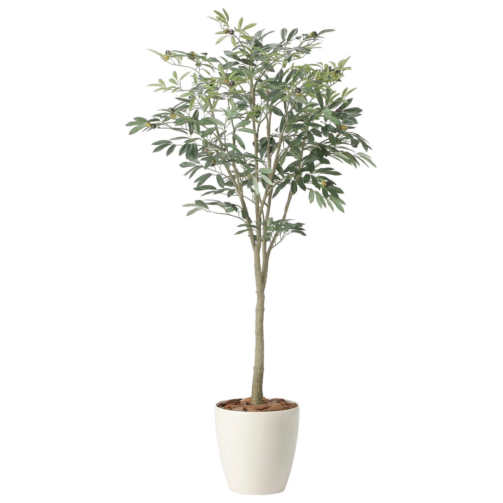 光触媒観葉植物 オリーブツリー 1.7 25,706円