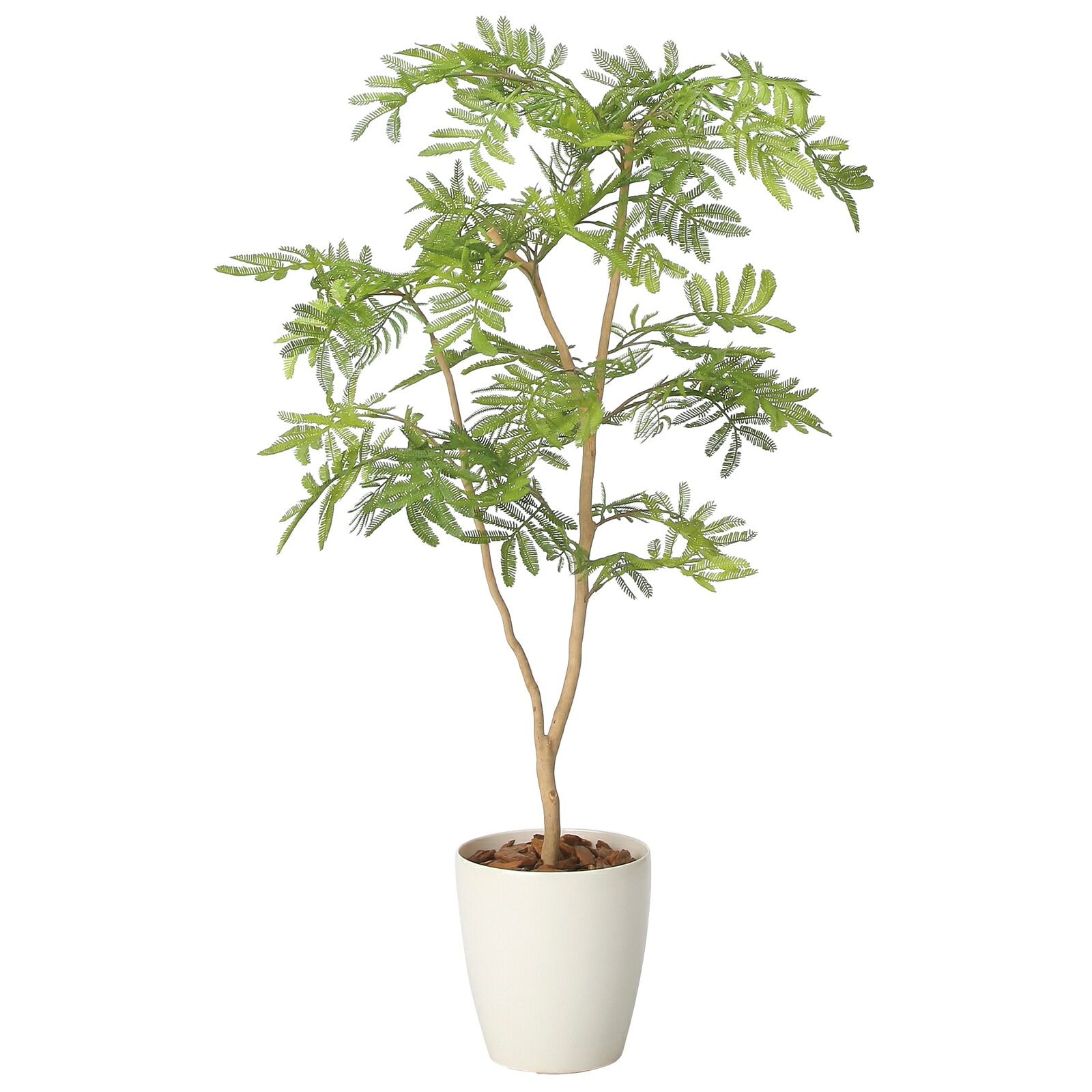 光触媒観葉植物 ねむの木90(ポリ製)