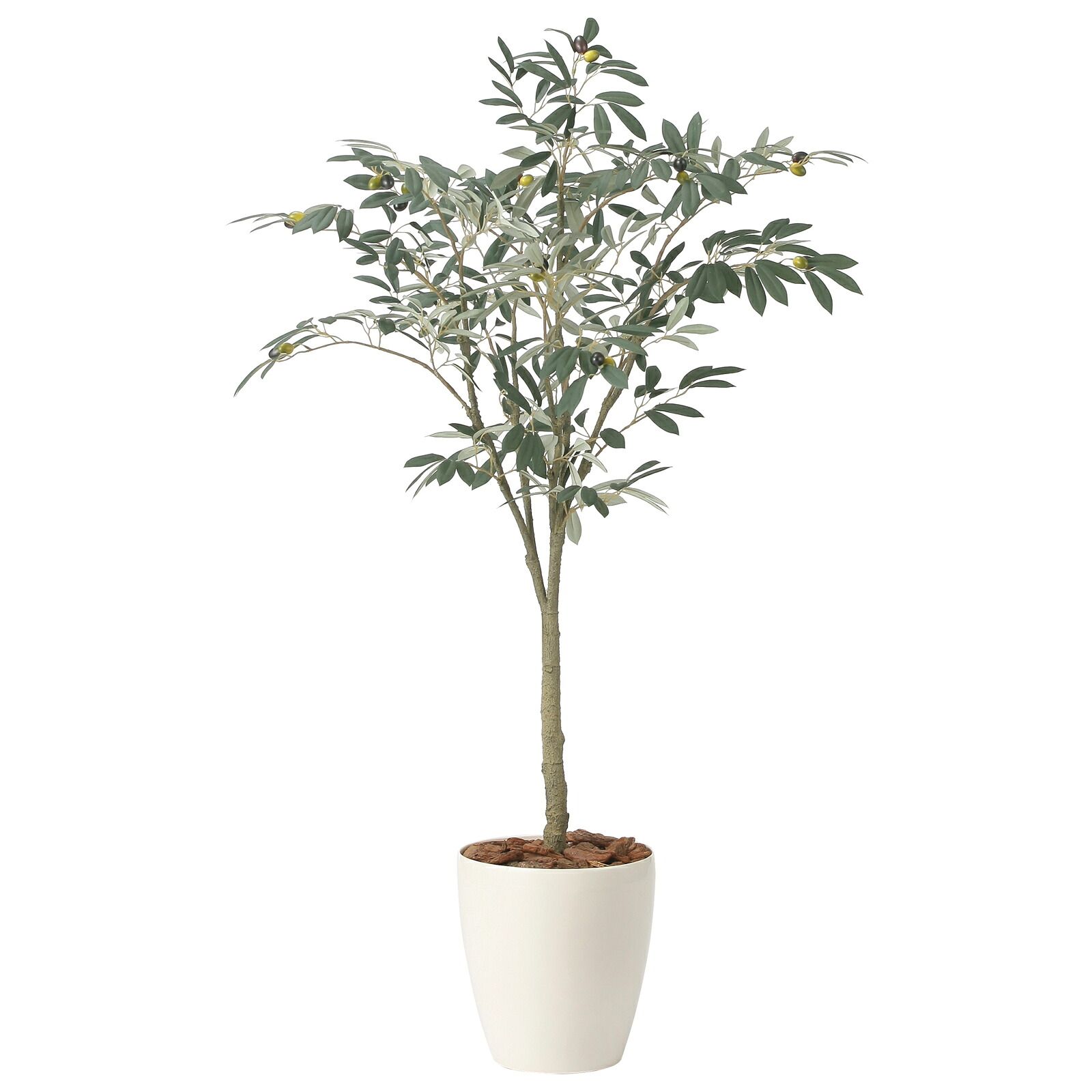 光触媒観葉植物 オリーブツリー 1.35 17,635円