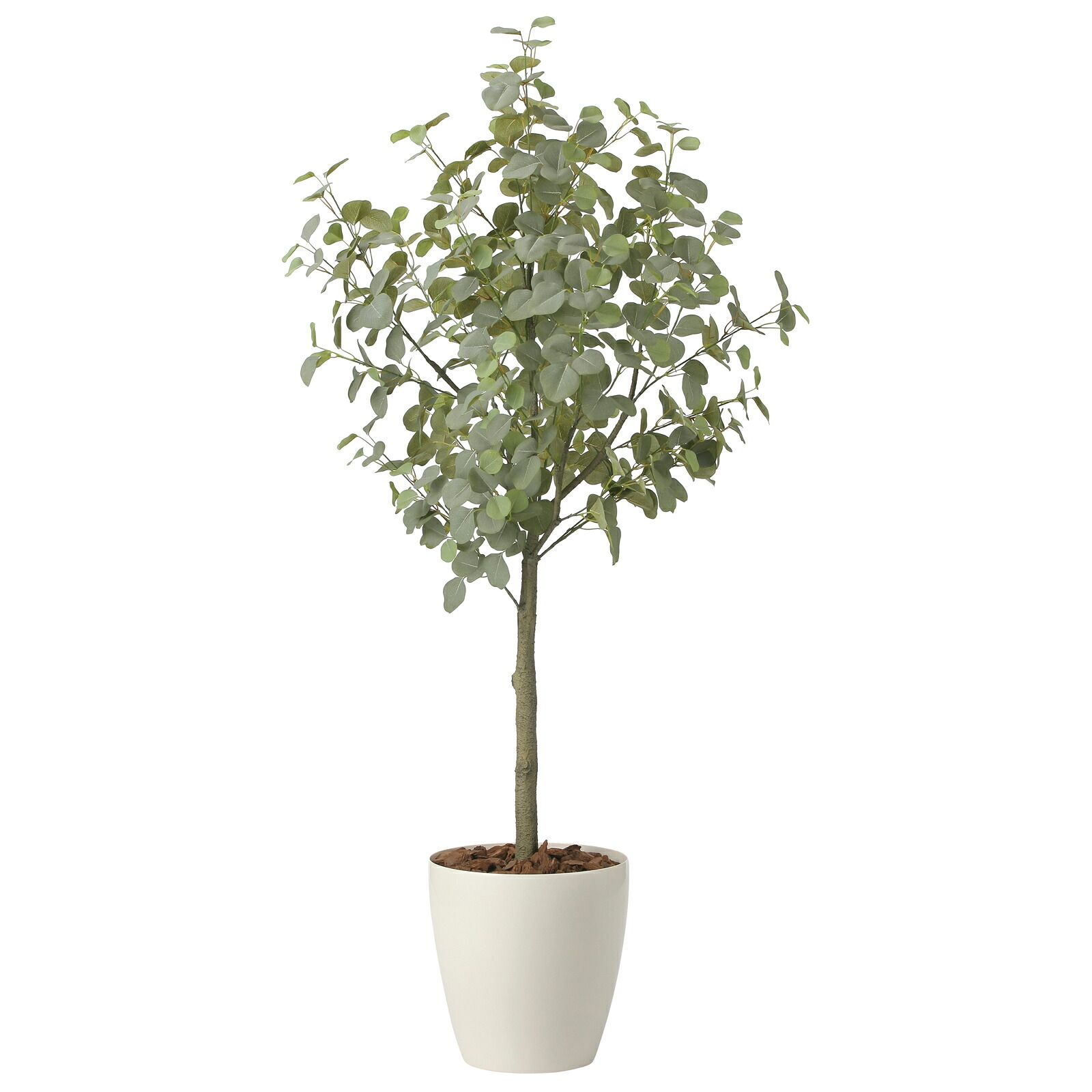 光触媒観葉植物 ユーカリツリー 1.85(組立式) 32,590円