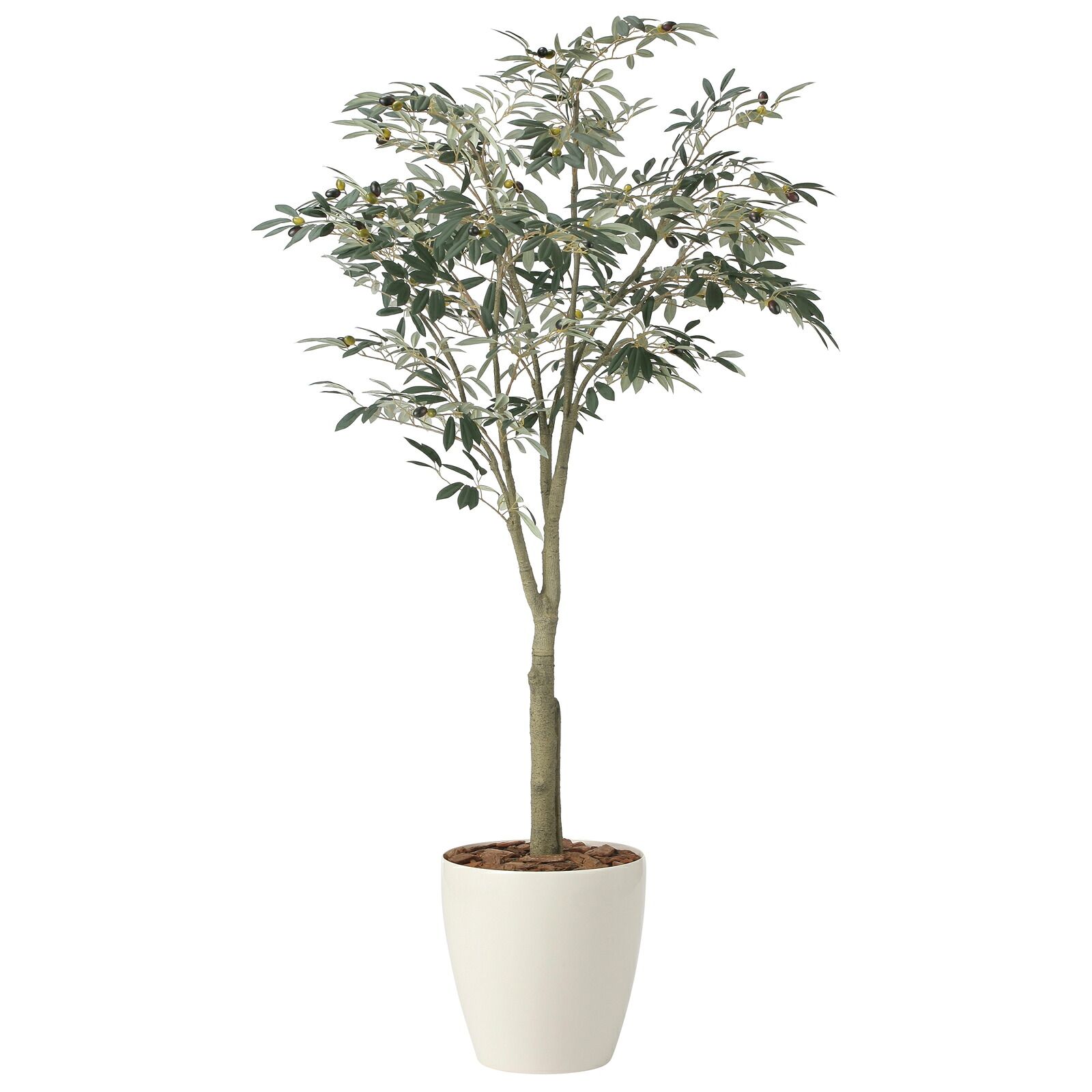 光触媒観葉植物 オリーブツリー 1.85(組立式)