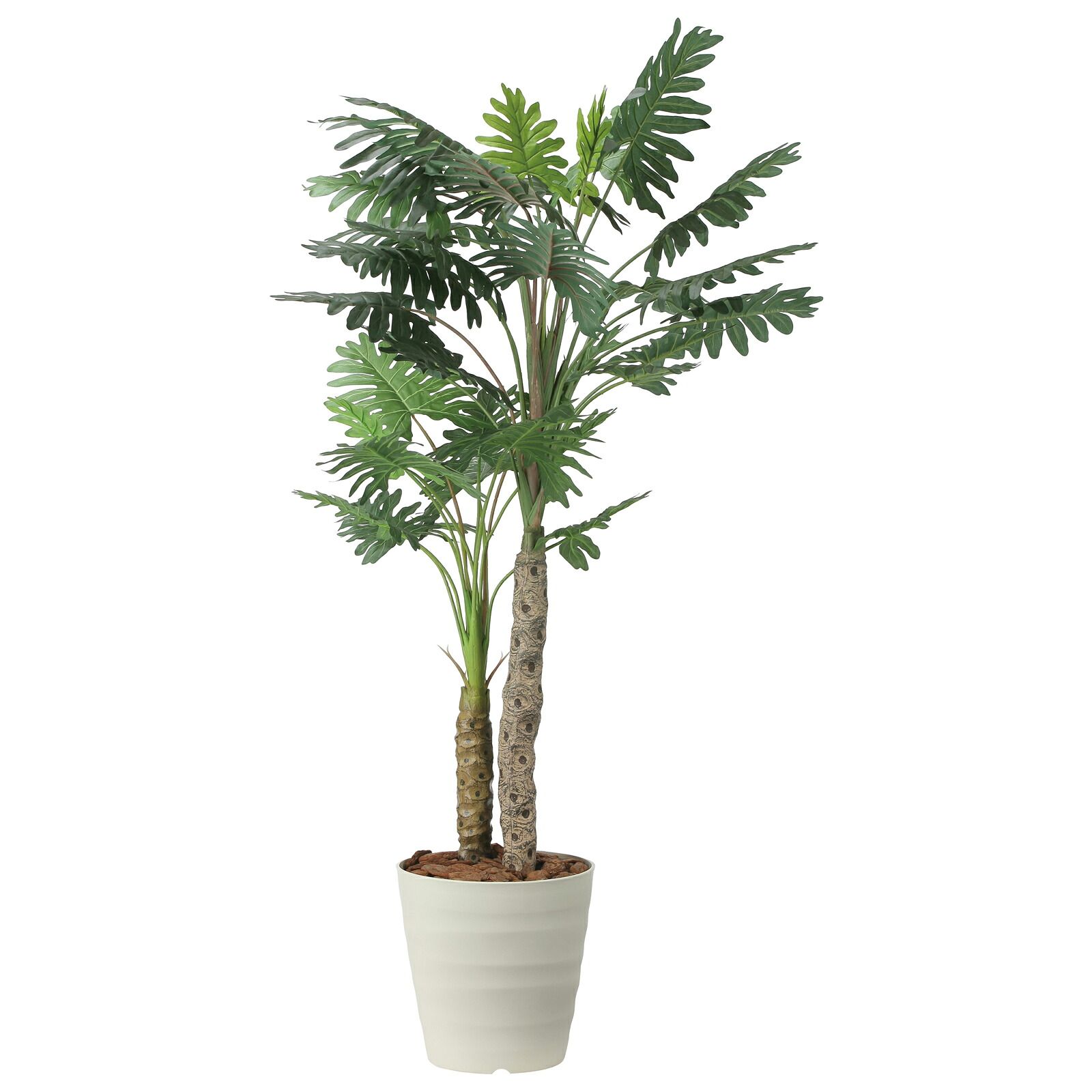 光触媒観葉植物 セロームW 1.8