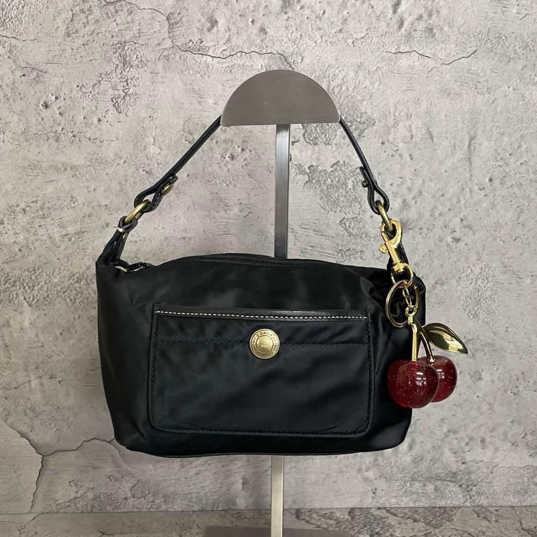極美品　COACH Y2K Black Hobo Accessory Pouch　コーチ アクセサリーポーチ ショルダーバッグ ホーボー ナイロン レザー 黒 ブラック