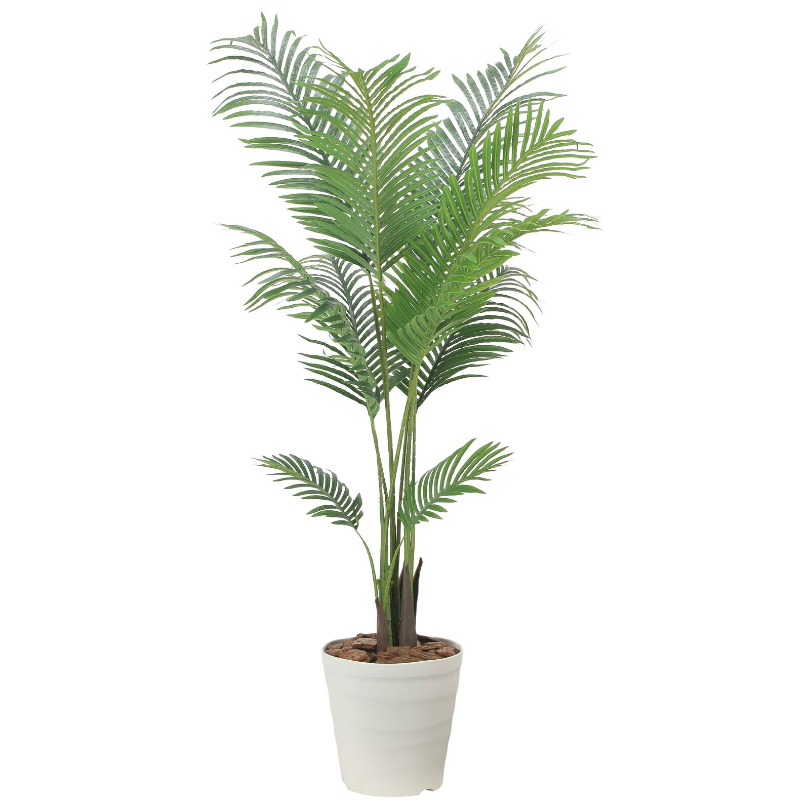 光触媒観葉植物 フレッシュパーム 1.5 26,870円