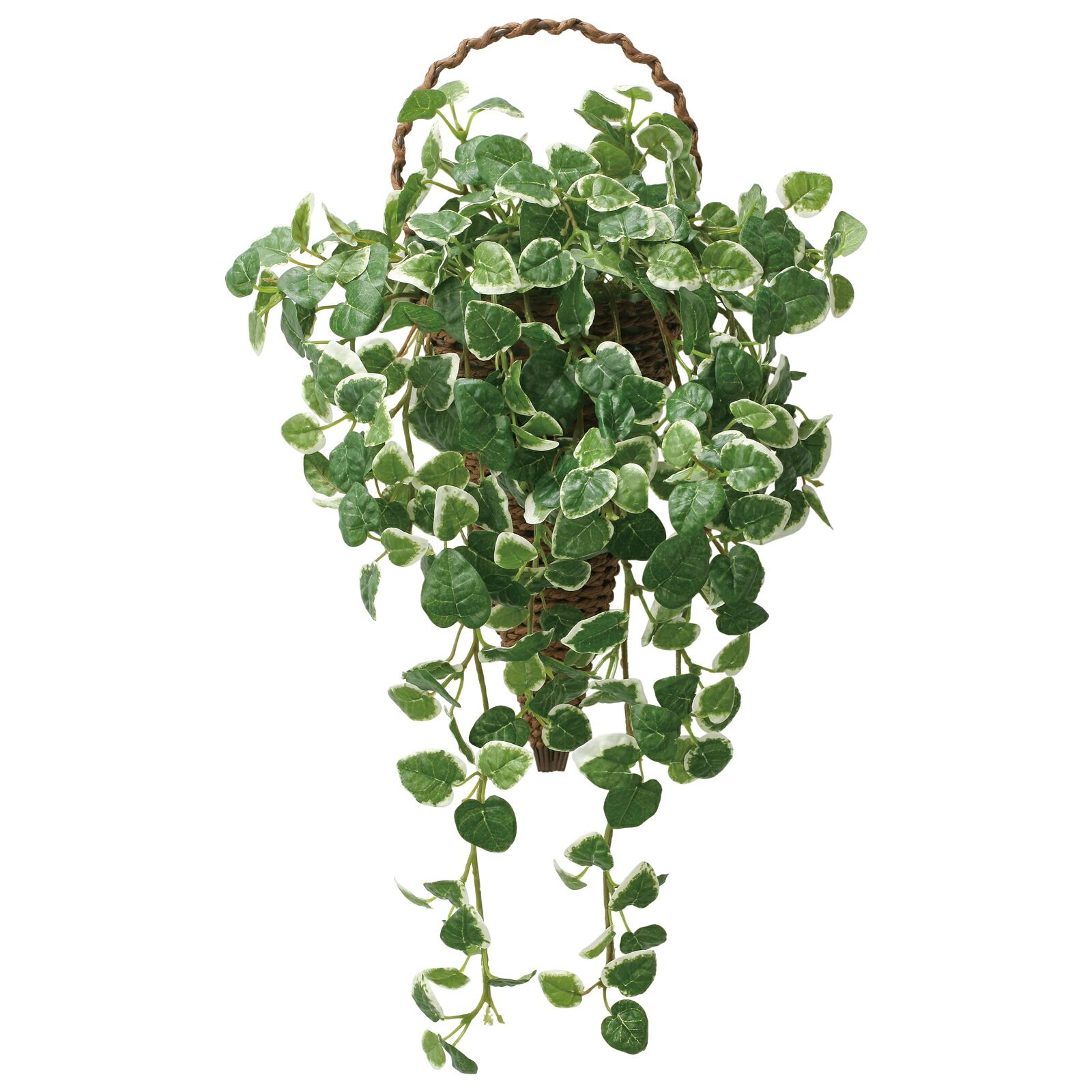光触媒観葉植物 壁掛け プミラ