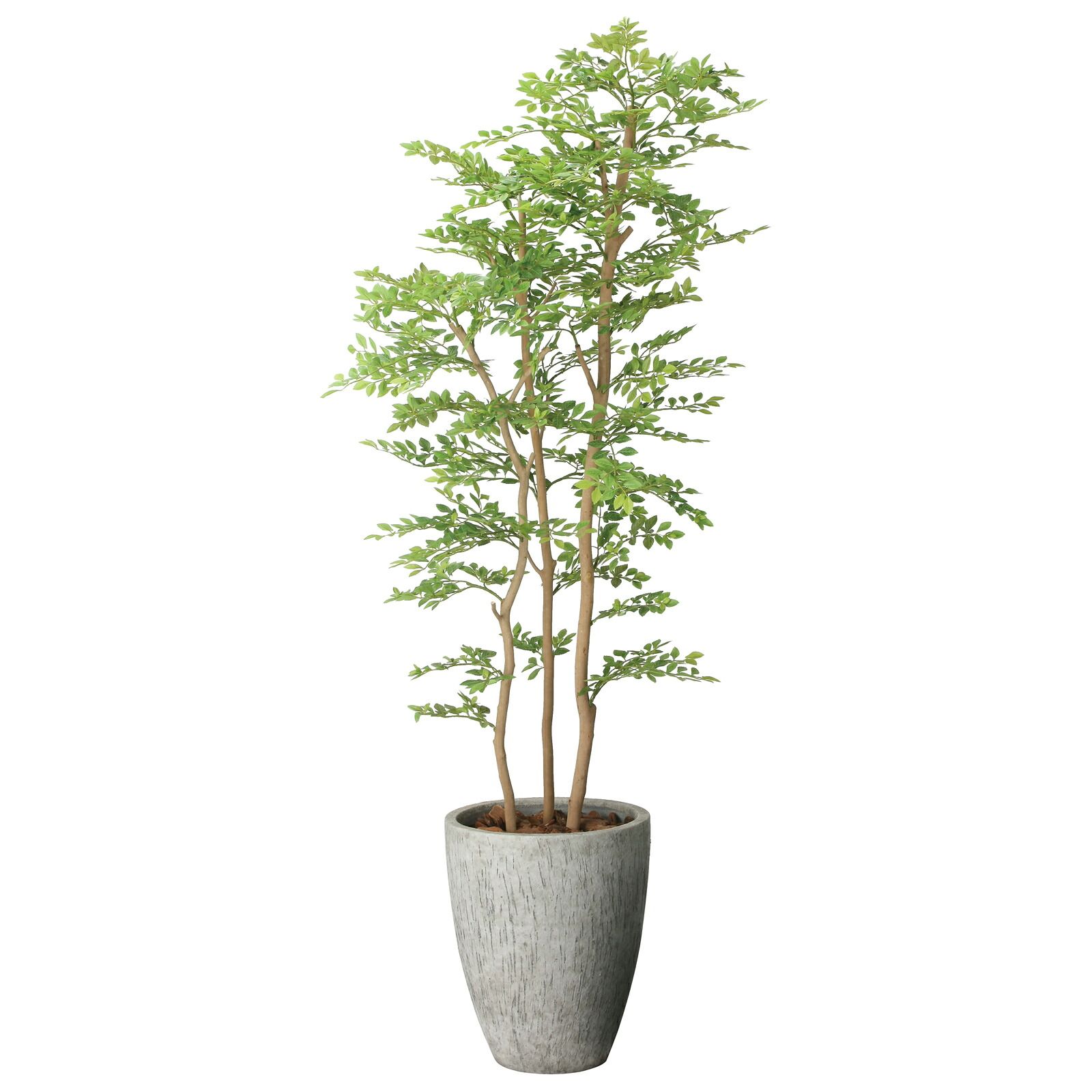 光触媒観葉植物 ナチュラル ゴールデンリーフ 1.8 54,503円
