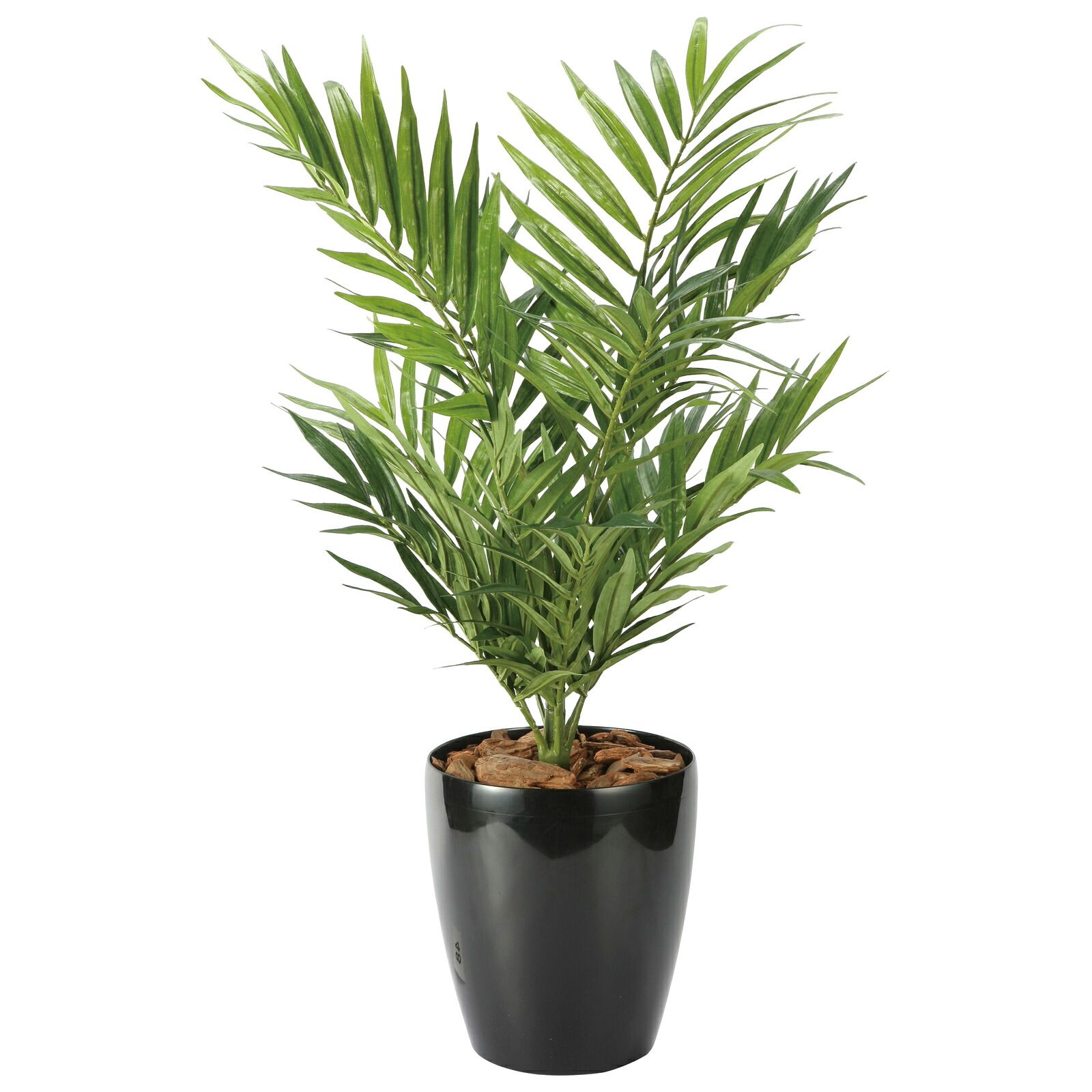 光触媒観葉植物 パーラーパーム 7,491円