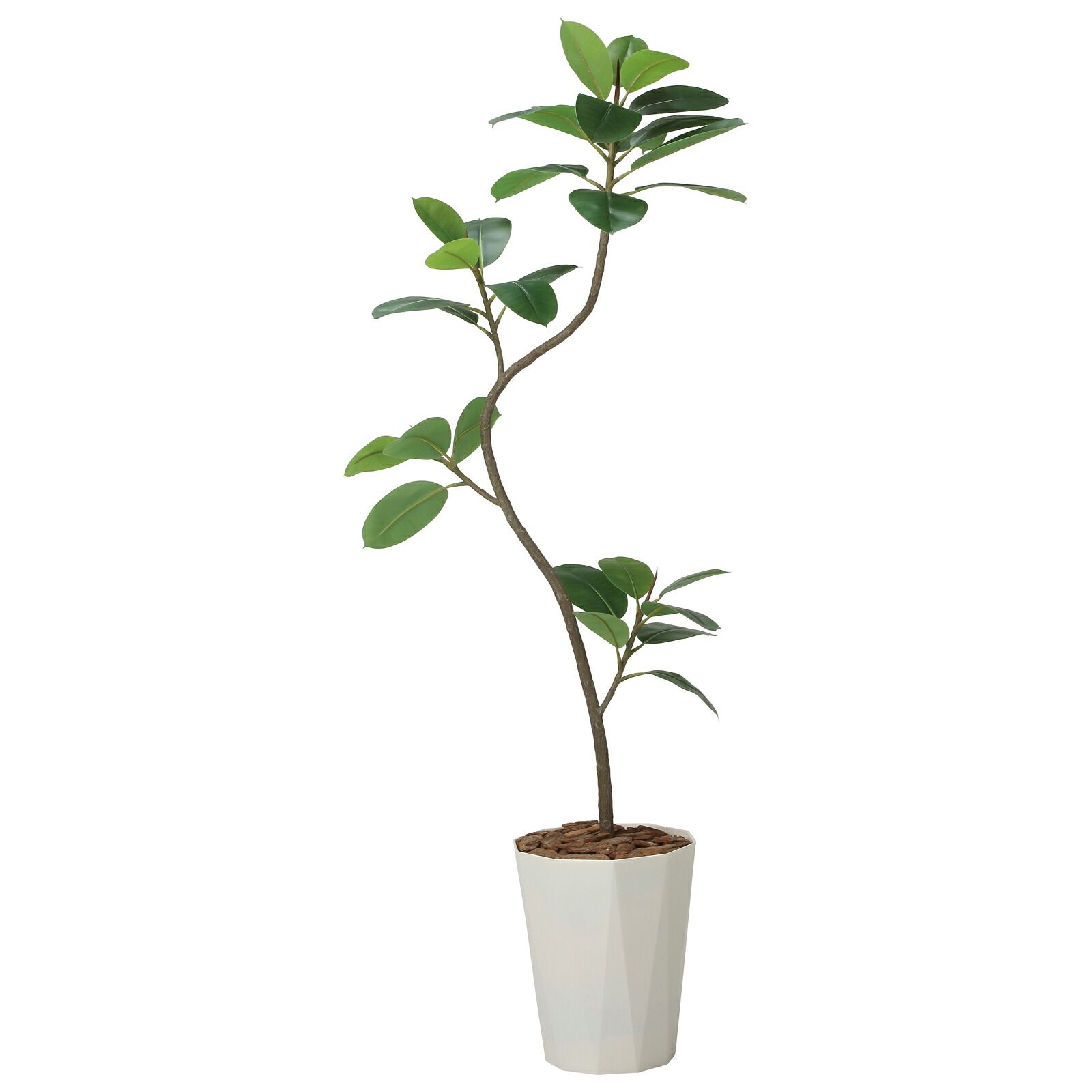 光触媒観葉植物 フレッシュツイスト ゴムの木 1.75(組立式)