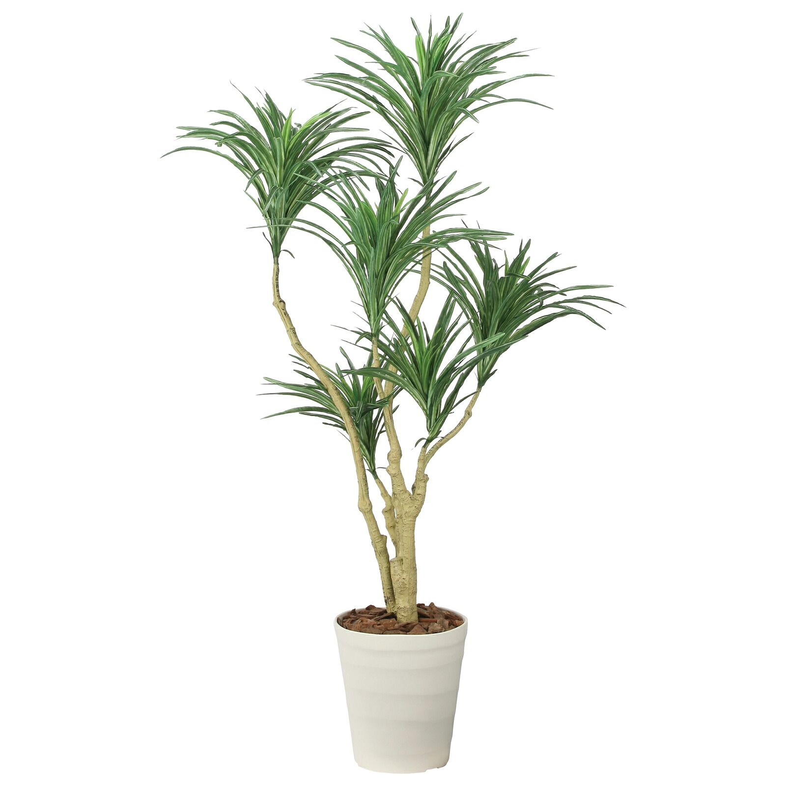 光触媒観葉植物 ユッカ W 1.3