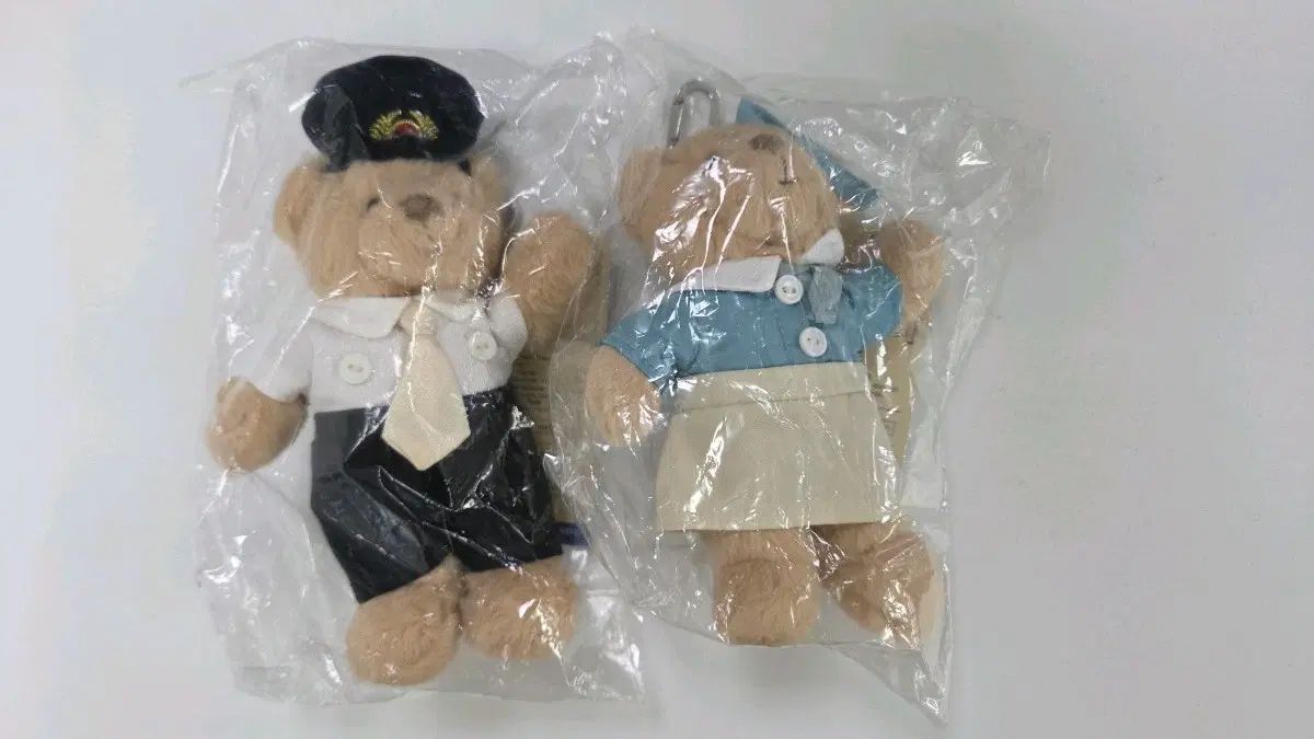 大韓航空 愛が 環境が キーホルダー セット