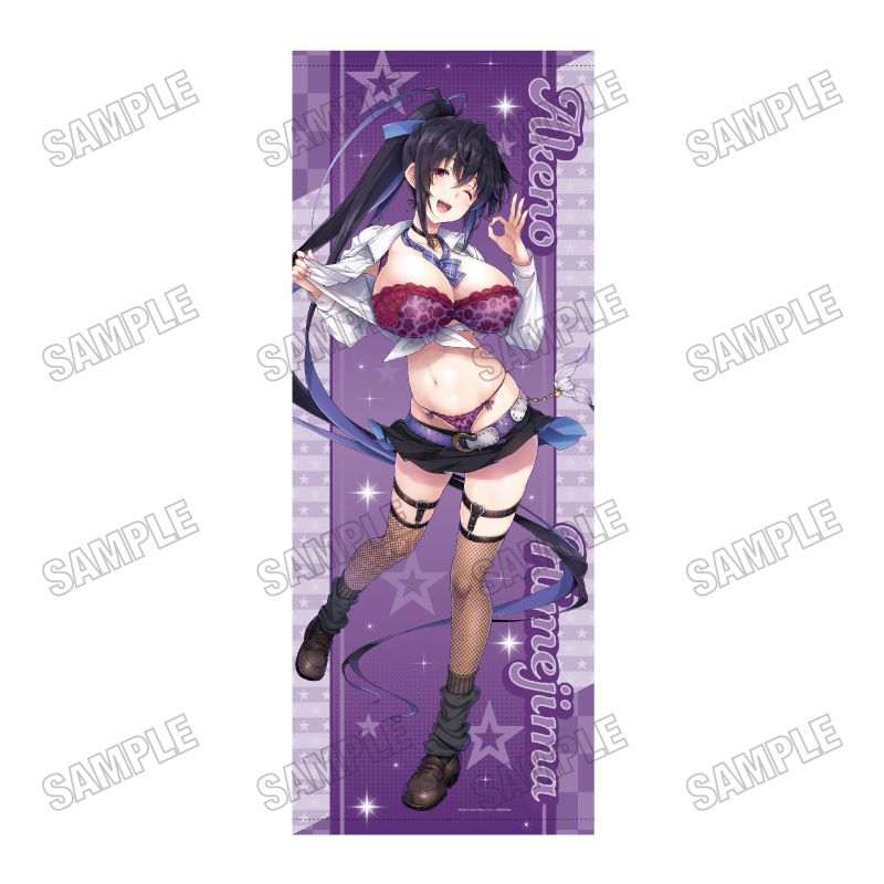 【予約販売/Pre-Order】ハイスクールD×D 描き下ろし特大タペストリー アメスクver. 2 姫島朱乃 新品 未開封品 正規品 【メディコス・エンタテインメント】