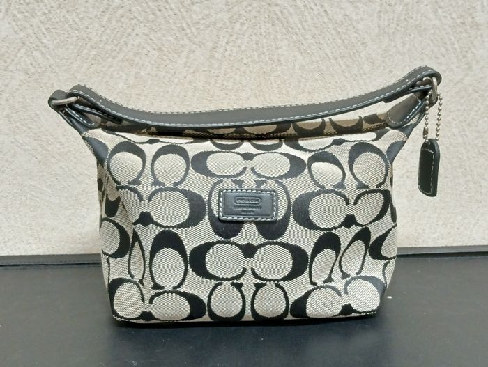 D4685 コーチ　COACH　coach　ハンドバッグ　ミニバッグ　鞄　シグネチャー　中古美品 コーチ COACH