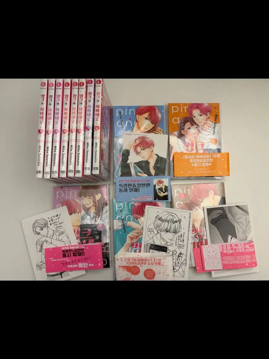 ピンクと ハバネロ 漫画 1 13 巻 初回版 出品 全巻 特典 アニメイト 帯 まとめ 純情