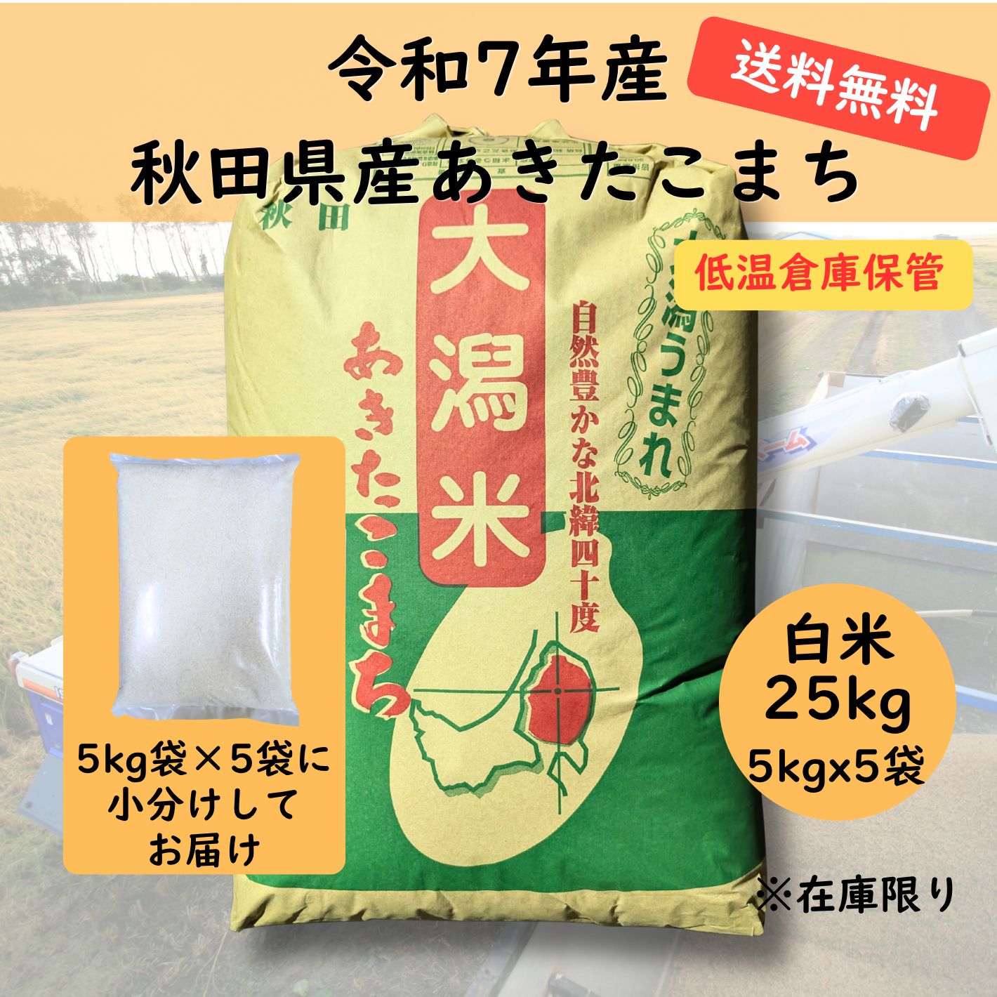 秋田県産あきたこまち 白米 25kg ※送料無料（沖縄を除く）/令和7年産