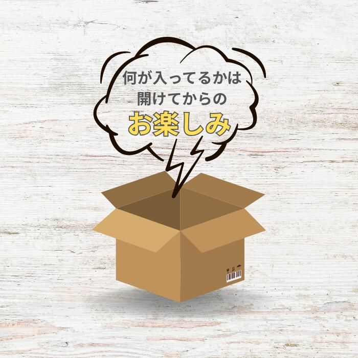 ＼1万円ポッキリ／ アディダス スニーカーくじ 1足 メンズ レディース adidas Originals サンバ ガゼル ハンドボール スペツィアル 福袋 ランダム 29.5