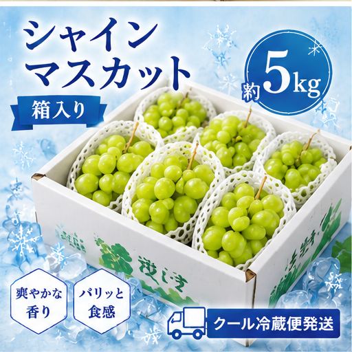 山梨県産 シャインマスカット 約5kg 房入り ぶどう 葡萄 フルーツ ご家庭用 大容量 箱入り クール冷蔵便発送