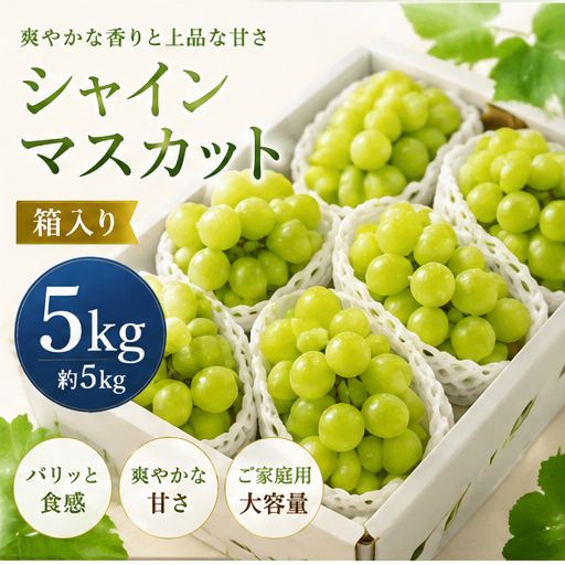 山梨県産 シャインマスカット 約5kg 房入り ご家庭用 ぶどう 大容量 フルーツ 箱詰め 常温便発送 7,906円