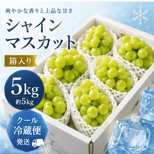 山梨県産 シャインマスカット 約5kg 房付き 家庭用 ぶどう 大容量 フルーツ 箱詰め クール冷蔵便発送 9,204円