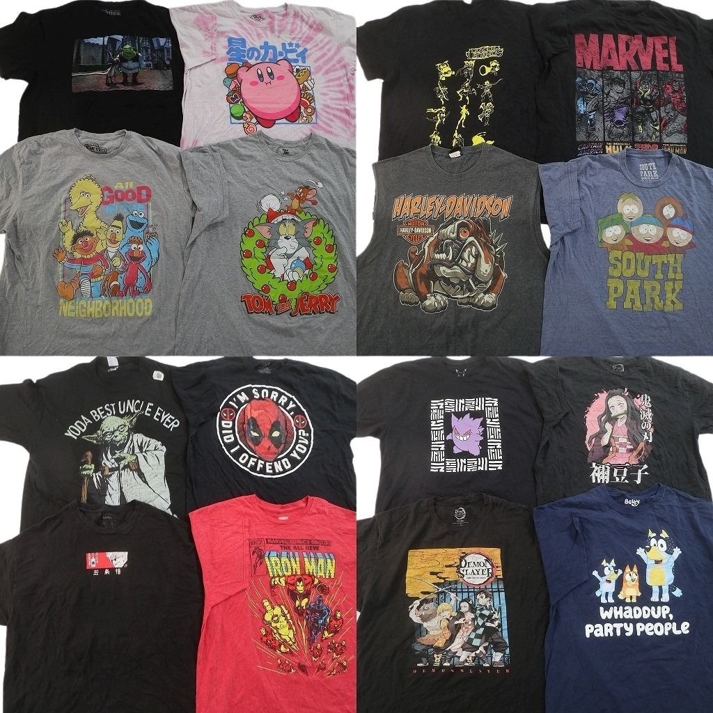 古着卸 まとめ売り キャラクター Tシャツ 16枚セット ( メンズ XL ) トムとジェリー 星のカービィ セサミストリート シュレック NG2808