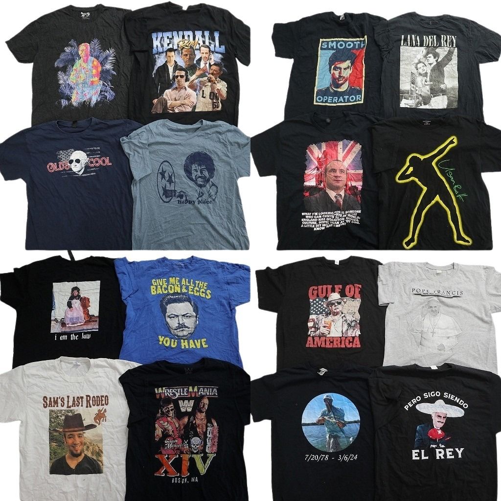 古着卸 まとめ売り 人物 Tシャツ 16枚セット ( メンズ L ) ドラマ WWE ボブ・ホスキンス Ｆ1 ウサイン・ボルト 中古 古着 NG2839