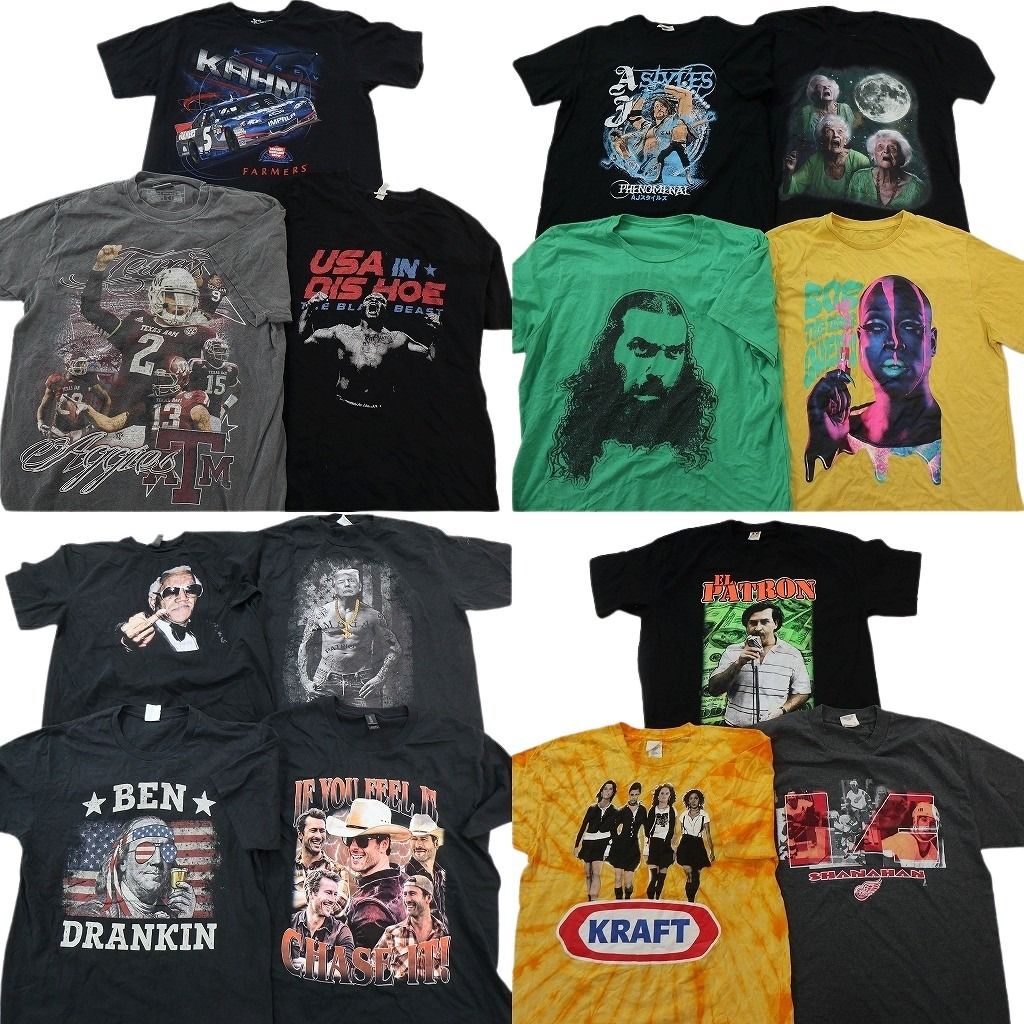 古着卸 まとめ売り 人物 Tシャツ 14枚セット ( メンズ L ) レーシング 映画 音楽 バンド ツアーＴ 中古 古着 NG2846