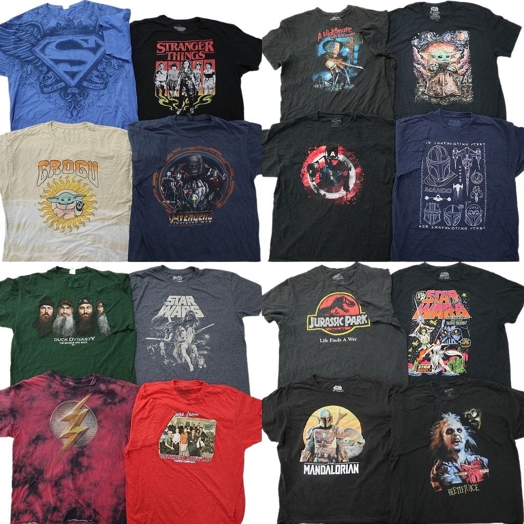 古着卸 まとめ売り 映画・ドラマ Tシャツ 16枚セット ( メンズ XL ) ストレンジャーシングス スターウォーズ ホラー 中古 古着 NG2890 13,020円