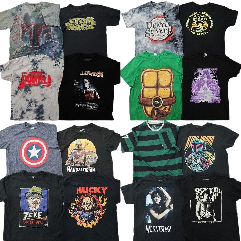 古着卸 まとめ売り 映画・ドラマ Tシャツ 16枚セット ( メンズ M ) ホラー スターウォーズ ハリーポッター チャッキー 中古 古着 NG2894