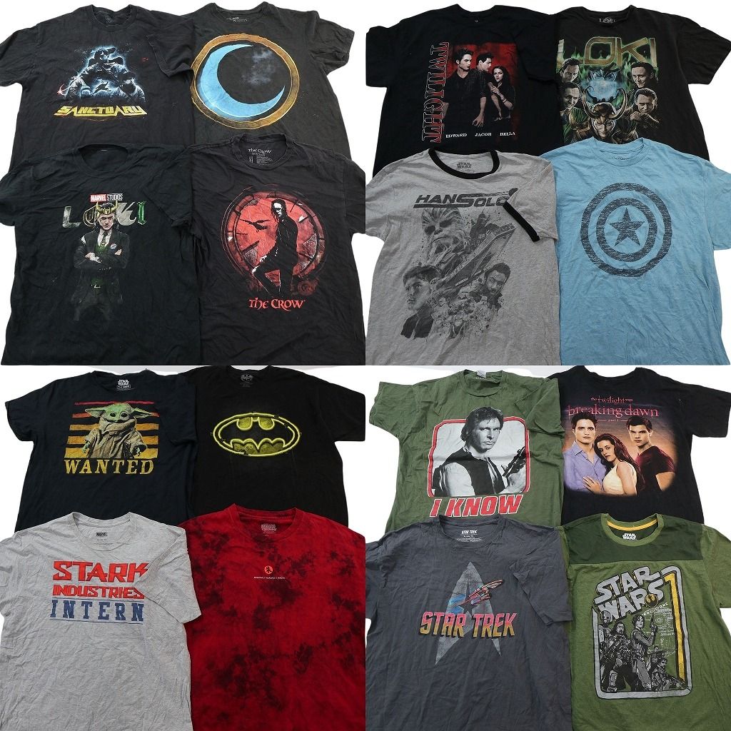 古着卸 まとめ売り 映画・ドラマ Tシャツ 16枚セット ( メンズ XL ) マーベル バットマン スターウォーズ THE CROW 中古 古着 NG2915 14,508円