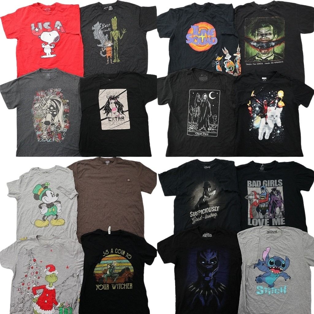 古着卸 まとめ売り キャラクター Tシャツ 16枚セット ( メンズ L ) マーベル ディズニー ミッキー ルーニーテューンズ 中古 古着 NG3507