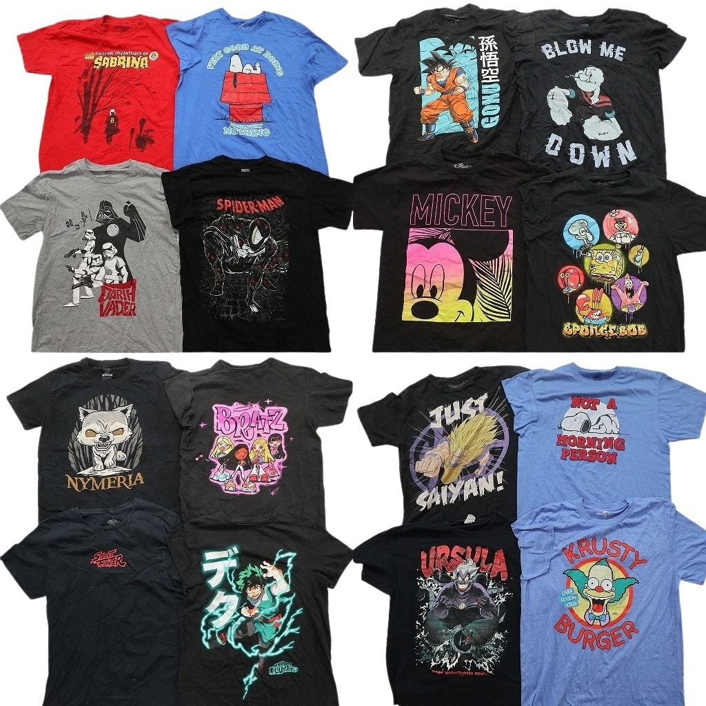 古着卸 まとめ売り キャラクター Tシャツ 16枚セット ( メンズ M ) ドラゴンボール ヒロアカ ストリートファイター 中古 古着 NG3523