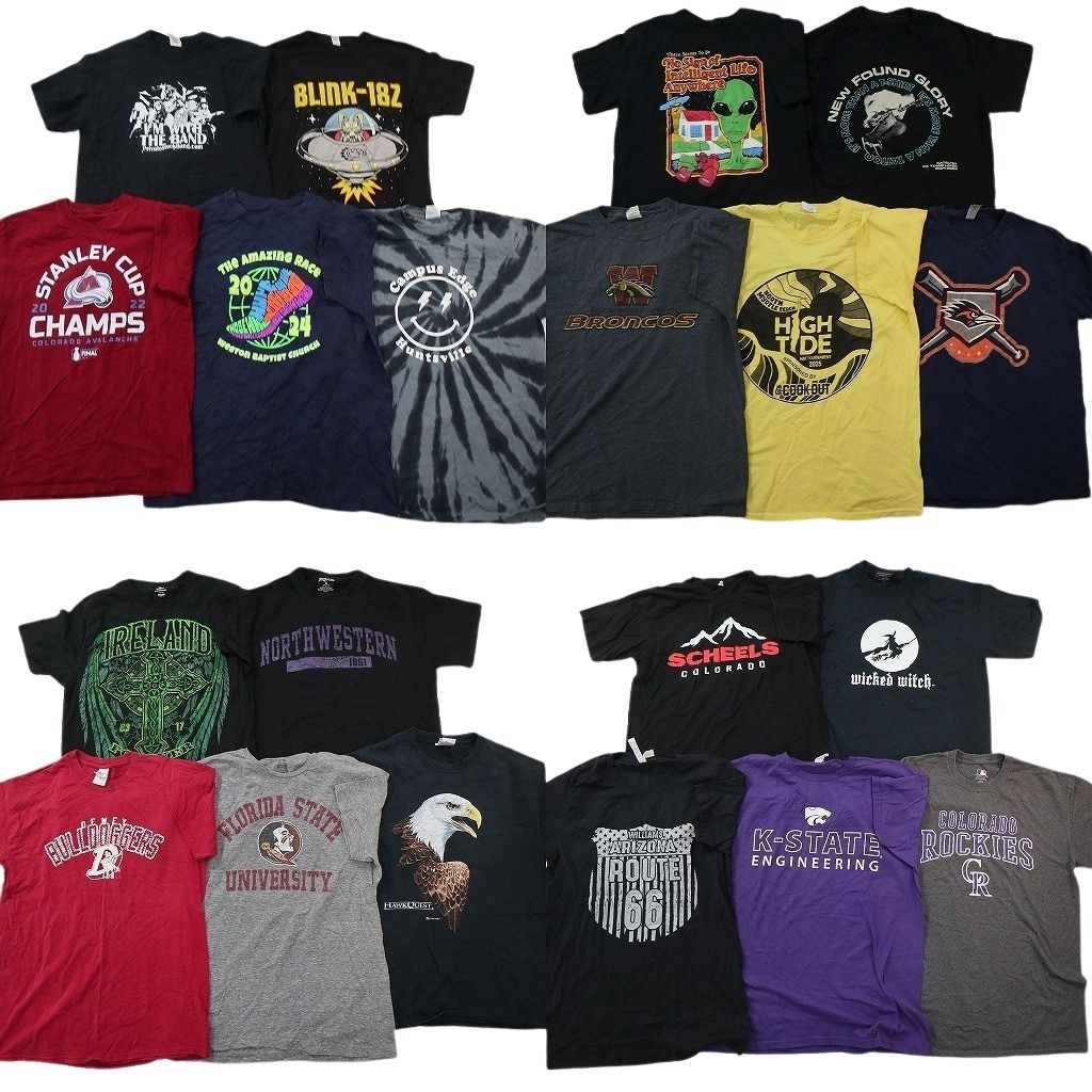 古着卸 まとめ売り プリント Tシャツ 20枚セット ( メンズ Ｍ ) アニマル エイリアン プロチーム MLB ロッキーズ イーグル 中古 NG3579