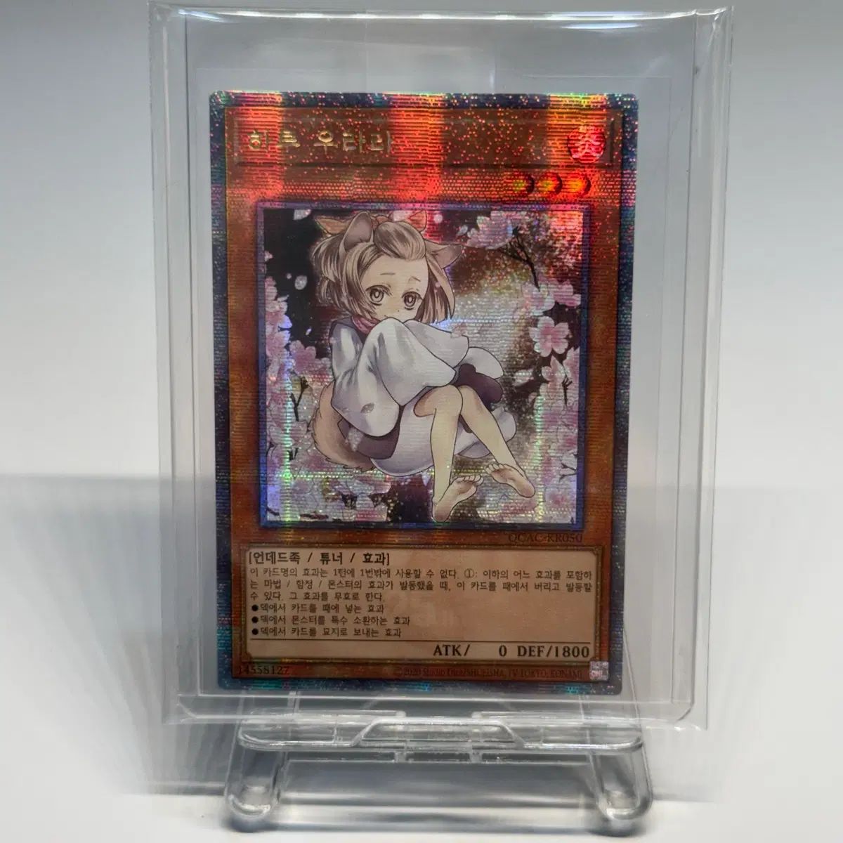 遊☆戯☆王 ハル ウララ 쿼싴 QCAC-KR050 7,154円
