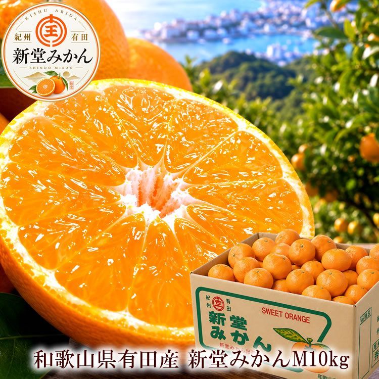 新堂みかん 和歌山県産 有田みかん お歳暮 御歳暮 秀品 高級みかん 冬ギフト フルーツギフト 贈答用 送料無料 [新堂みかんM10kg] 11月下旬より出荷開始