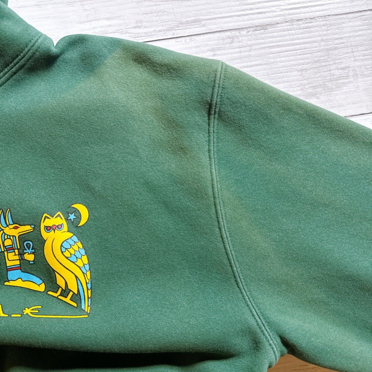 【国内正規品】THRASHER EGYPT Hoodie ヒエログリフ エジプト グリーン エジプト文字 アニマル グラフィック パーカー 古着 #B2749