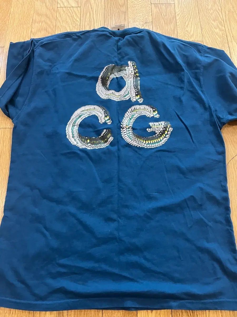 ナイキ ACG 半袖 Tシャツ ハイキング トレッキング おじいさん