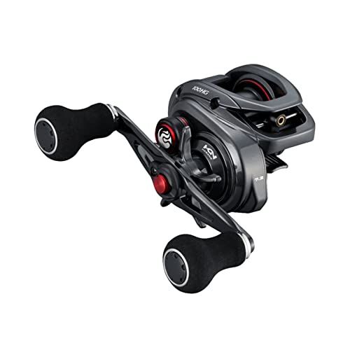 シマノ(SHIMANO) 両軸リール 22エンゲツBB Ju 6009d630