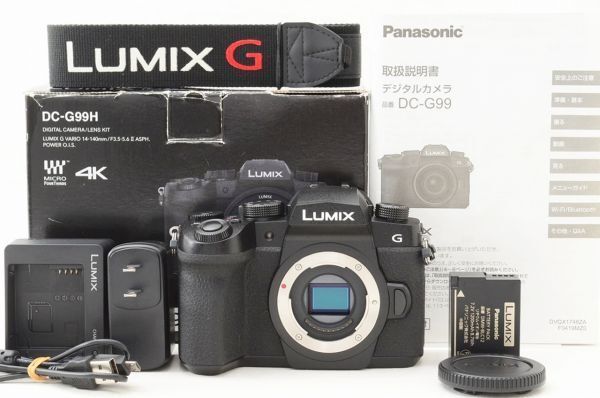 ☆極上美品☆ Panasonic パナソニック LUMIX DC-G99 ボディ 元箱 付属