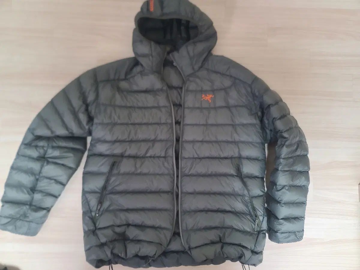 ARC'TERYX Cerium (アークテリクス セリウム) ポリッジ 2XL 出品