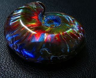 【新品】 天然石（原石） 数万個の中の一個★天然マダガスカル産 ★ 両面オパールアンモナイト 化石標本超巨大40ｇ★58ｍｍ 26101313 17,155円