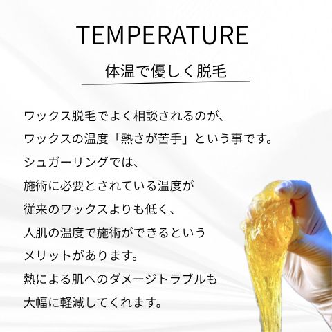 シュガーリングペースト (青)400ml×2》2個SET - メルカリ