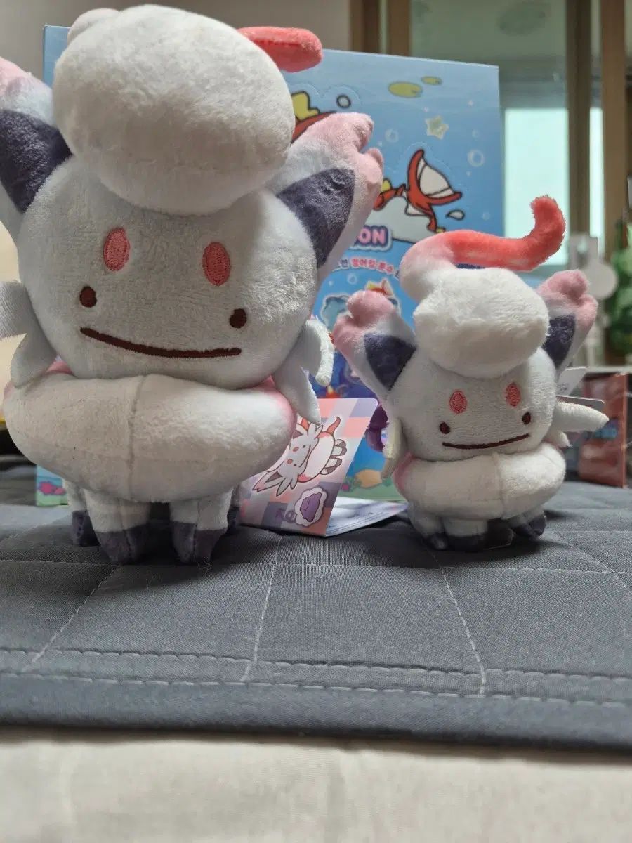 ポケットモンスター 変身メタモン ヒスイゾロア セット まとめ